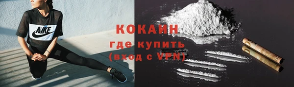 дмт Богородск