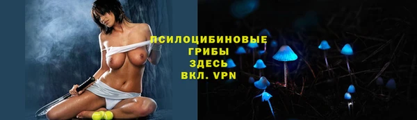 мдпв Богородицк