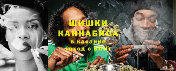 дмт Богородск
