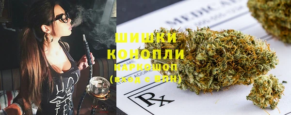 мдпв Богородицк