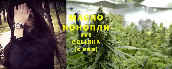 мдпв Богородицк