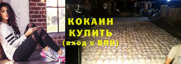 мдпв Богородицк