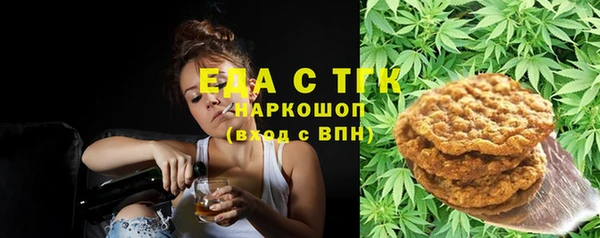 мдпв Богородицк