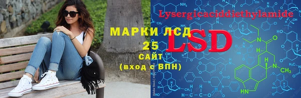 мдпв Богородицк