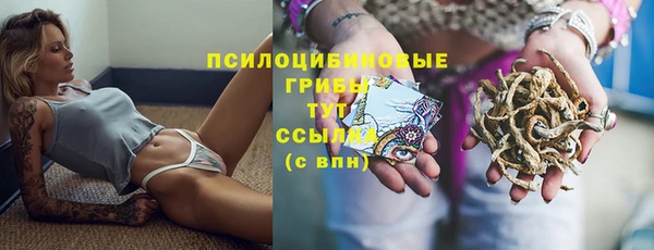 дмт Богородск
